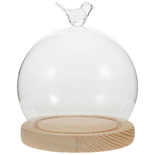 OUNONA Cloche En Verre Transparent En Verre Borosilicaté Avec Socle En Bois Pour DéCoration Diy Protection Anti-PoussièRe 14X12X12 Cm