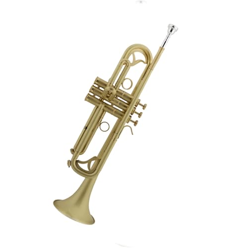 Trompeta Cepillada Mate Instrumento De Interpretación Profesional. Trompeta