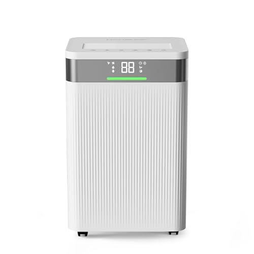 HAUSHOF Déshumidificateur d'Air Electrique 20L/Jour, Deshumidificateur Anti Moisissure Portable Silencieux 41dB, Minuterie 24h, Réservoir de 4,5 L et 3 Modes pour Chambre, Cave, Salle de Bain, Placard