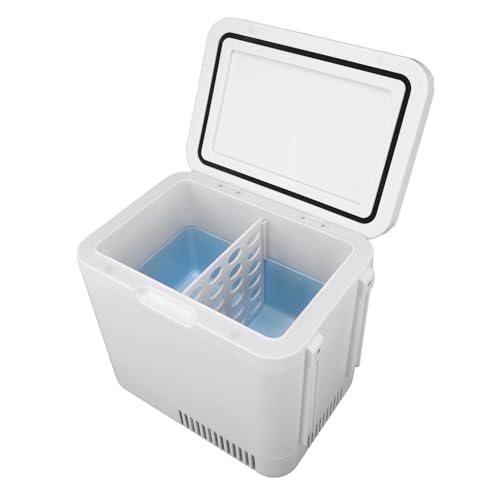 SIXRUN Frigo Portatile Compatto, Mini Frigo da 6 Litri Alimentato Tramite USB Scaldabagno Portatile Frigorifero Personale per Cura della Pelle Bevande Alimenti Farmaci Home Office Auto