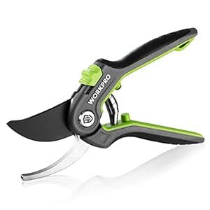 WORKPRO Bypass-snoeischaar 210mm, Professionele Boomschaar Plantenschaar Tuinschaar met SK5-mes voor Verse Takken Tuinieren, Ideaal Tuingereedschap voor Enten, Snoeien, Oogsten