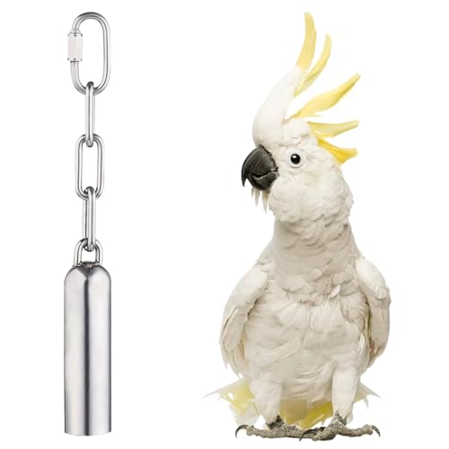 LWINGFLYER Stainless Steel Bird Bell Toy for Large Parrots – Hanging Bird Cage Toy with Quick-Link Clip, Durable & Easy-Clean Parrot Toys for Macaws, Cockatoos, African Greys - image 7