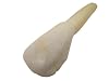 Twenty Five (25) UN-Drilled Genuine Water Buffalo Teeth #2