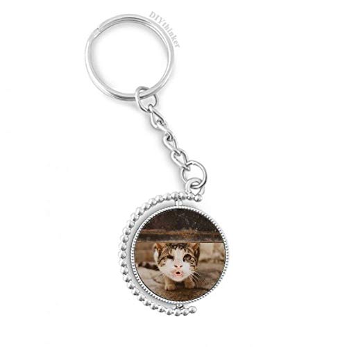 Porte-clés chat rigolo DIYthinker anneau rotatif 1,2 x 3,5 pouces pour trousseau