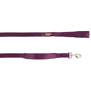 kong shock absorbing leash