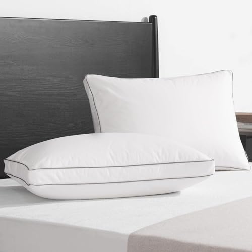 Image of viewstar Down Feather Silver Piping Pillow - Opulent Comfort with Our Luxury Hotel Collection Bed Pillow for Blissful Sleeping, Featuring Elegant Piped Edges (Gusseted, Standard (16X26 Inches))