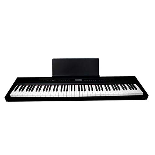 Digital Piano 88 Tasti Pesati Echord Sp 10