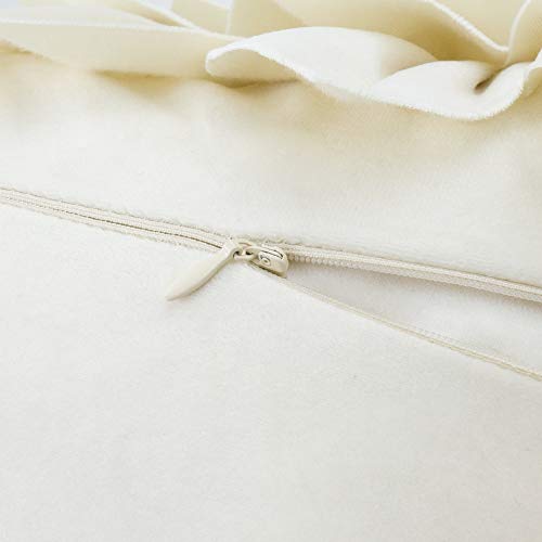 Oiseauvoler 3D Flower Decorative Throw Pillow Covers Floral Pillow Shams Soft Velvet Pillowcases Home Sofa Car Bed Room Decor 18 X 18 Inches Cream White #TOP6