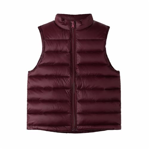 Kids Boys Girls Winter Puffer Vest Lightweight Sleeveless Jacket with Pockets Quilted Full Zip Outerwear