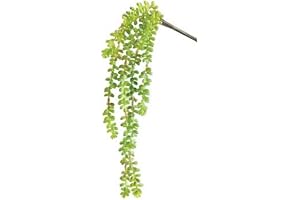 Donkey Tail Vine Plant Green 19"