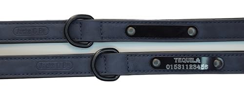 Jacks O Be Hundehalsband Halsband Name Gravur personalisiert Haustier Hund Katze Leder (Blau, M)