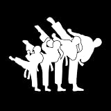 Vinyl-Kunstaufkleber Taekwondo Karate Kampfsportverein 68x85.2cm Rückstandslos entfernbar Weiß