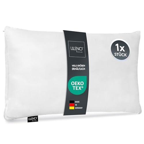 LILENO HOME Coussin en microfibre 30 x 50 cm, lavable jusqu'à 95 degrés, fermeture éclair, coussin 30 x 50 cm, pour lit ou comme coussin décoratif, coussin de...