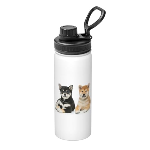  Č    XeX{g @r 500ml  ۗۉ ^fM X|[c{g e nht ^ Rh~  oR AEghA ʋ ʊw