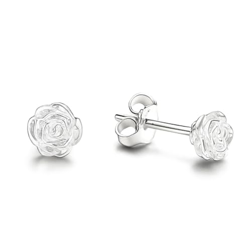 sAX Silver925 Vo[ JA zCg NA t[  AM[Ή jbPt[