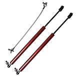 ボンネットフードダンパー ために プジョー 208 (P21) ために マーク2 2019-2023 フロントフードボンネット変更ガスストラットスプリングリフトサポートロッドショックプロップ ボンネットダンパー (サイズ : RD Carbon Fiber)