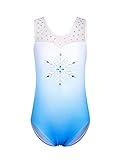 HOZIY Leotards for Girls Gymnastics 4t 5t Snowflake Embroidered Blue White Gradients Lace Bodysuits