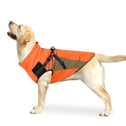 Manteau chaud d'hiver pour chien idéal pour les balades sous la pluie
