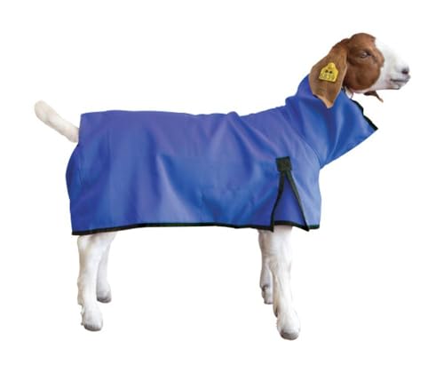 Weaver Livestock Goat Blanket Large Blue