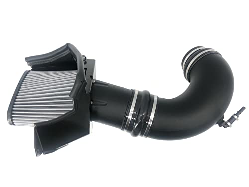 RotoFab Roto-Fab Big Gulp Cold Air Intake Kit with Dry Filte...