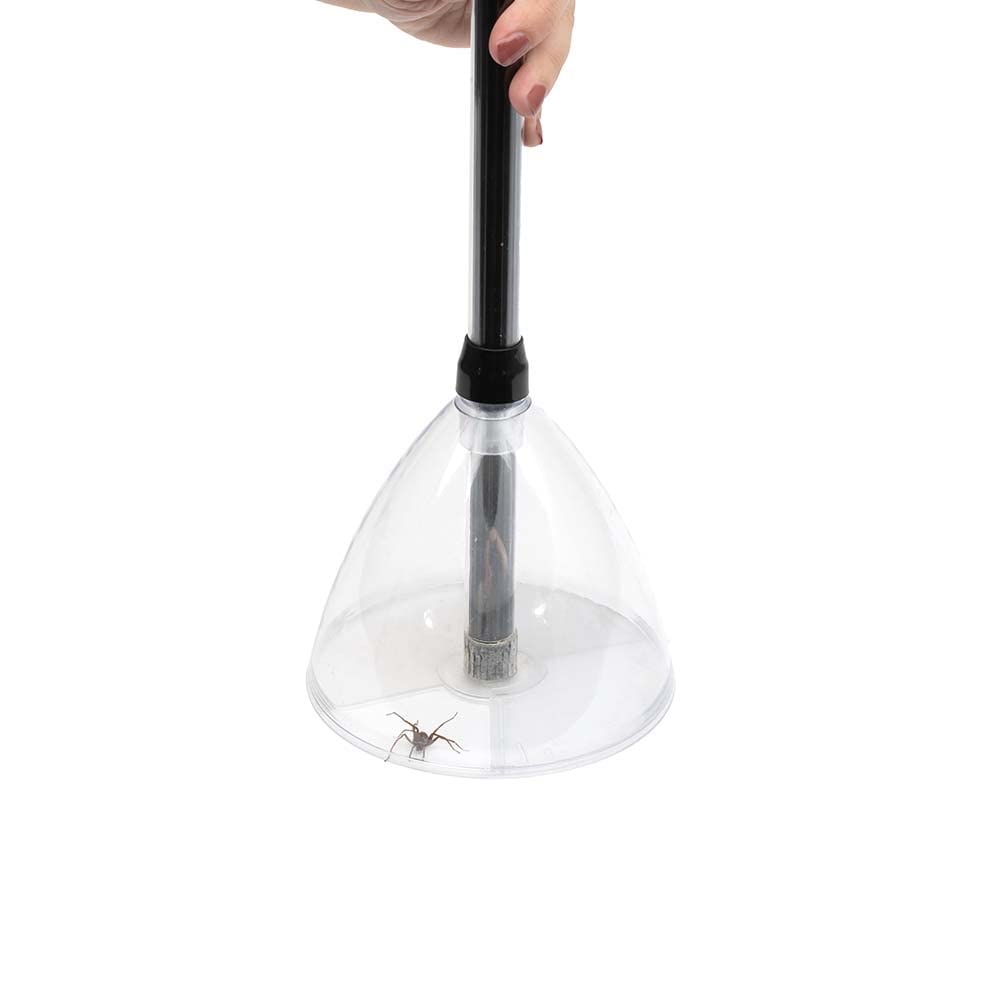 Bug Away Humane Insect Catcher for Viewing and Removing Creepy Crawlies