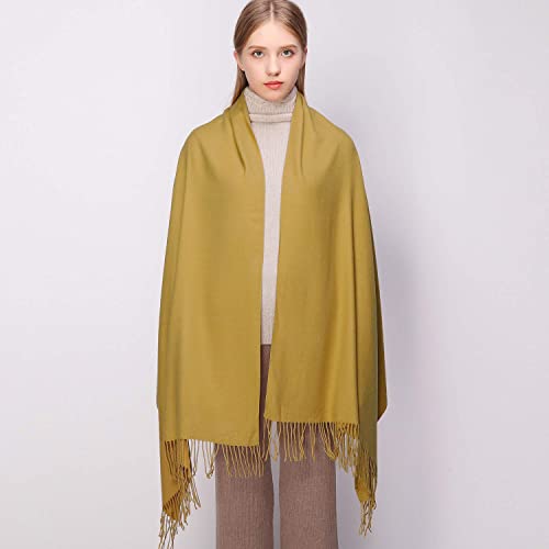 RIIQIICHY Women's Scarf Pashmina Shawls and Wraps for Evening Dress Bridesmaid Wedding Bridal Winter Warm Long Large Scarves