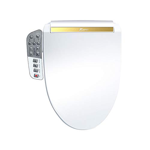 Best Japanese Bidet Toilet Seat