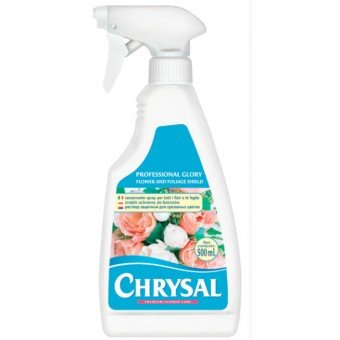 Chrysal Professional Glory