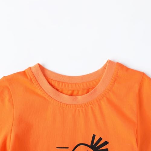 Image of HILEELANG Toddler Boy Summer Outfit Set 2 Piece Short Sleeve T Shirt and Short Soft Breathable Cotton Clothing Sets 2-7T
