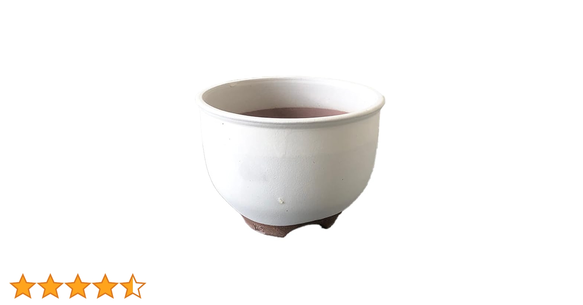 Amazon.co.jp: DENICHI-POT／市野伝市鉢 コウロ型 サクラソウ