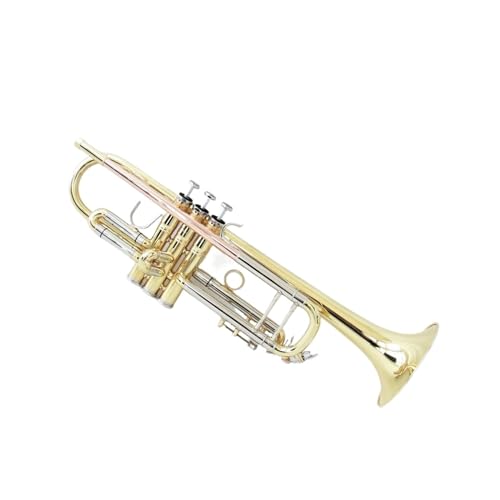 �v���̃g�����y�b�g �g�����y�b�g�v���S�[���h���b�J�[�d�グ�̃g�����y�b�g�����^�J�f��