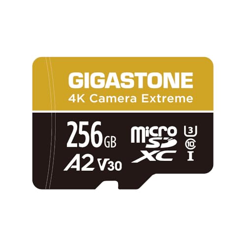�y5�N�f�[�^�����E���������ۏ؁zGIGASTONE �}�C�N��sd�J�[�h 256GB microSDXC UHS-I A2 V30 U3 C10 100MB/s ���� SD�A�_�v�^�[1���t��