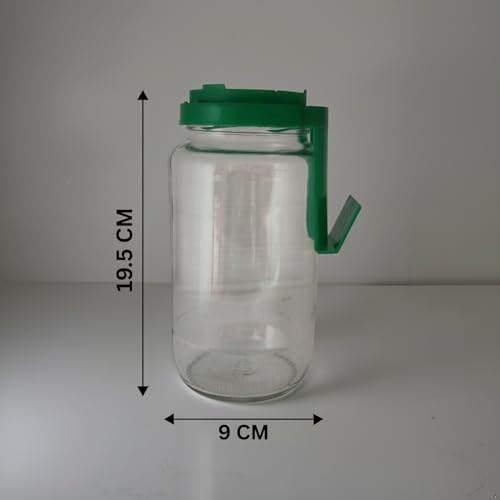 Image of Sprout Maker Glass Jar 1000ml - Wide Mouth Seed Sprouter for Mung Bean, Chana & Lentils | BPA-Free Reusable Sprouting Jar for Kitchen & Microgreens.
