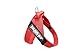 Julius-K9, IDC® Color & Gray® Beltgeschirr