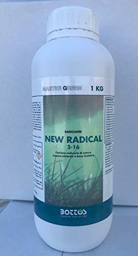  Bottos New Radical kg 1