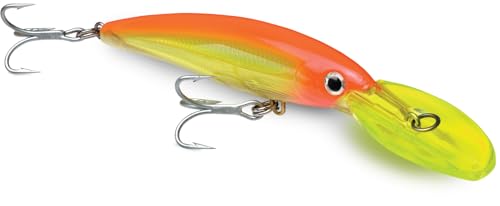 Rapala X-Rap Magnum leurre plongeant avec hameçons VMC pour thon et bar
