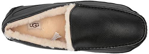 Image of UGG Men's Ascot Slipper
