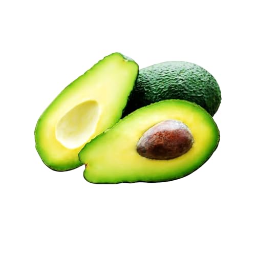 Zenxin Organic Avocado 2 Count