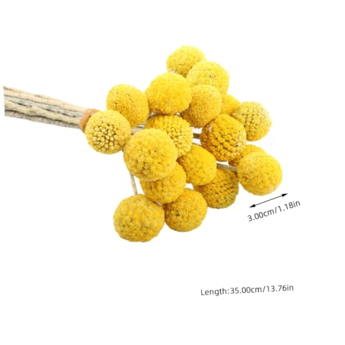 30 flores secas Craspedia para decoración natural amarilla miniatura 2
