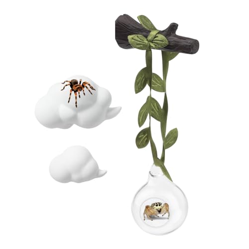 ハエトリグモ 飼育ケース アクセサリー,クライミング おもちゃ | リアルなハエトリグモ着地キット - 小型動物 爬虫類 ペット 繁殖 観察 用 家庭 教室 展示 愛好家 向け