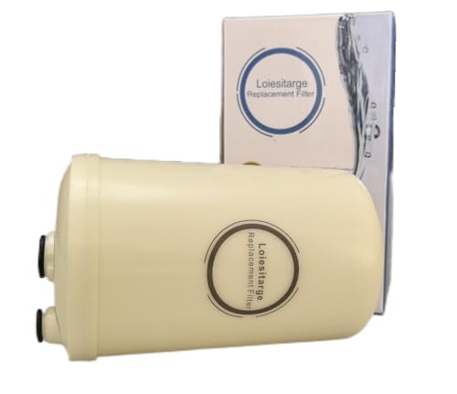 Loiesitarge Repuesto de filtro de agua de alta calidad, eliminación de cloro para Leveluk Kangen 8-1 unidad (reemplazo de filtros HG-N y K-8)