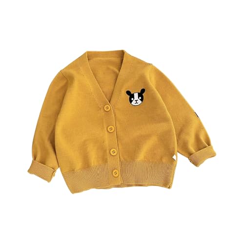 Toddler Kids Knit Cardigan Sweater Cute Dog Embroidery V Neck Loose Jacket Fall Winter Birthday Outfits for Baby Boys Girls