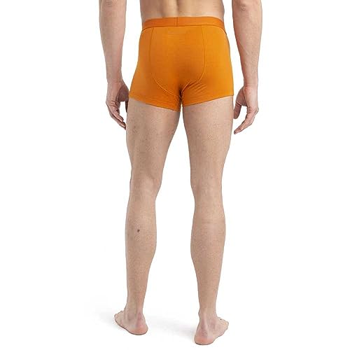 Icebreaker Merino Anatomica Cool-Lite Underwear-Trunk's2