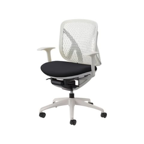 SARI様 Amazon.co.jp: イナバ オフィスチェア ローバック 完成品 組立