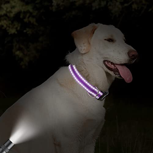Taglory Reflective Adjustable Dog Collars For Puppy Small Medium Large Dogs, Thin Nylon Webbing And Quick Release Plastic Buckle(Purple Medium) #TOP4