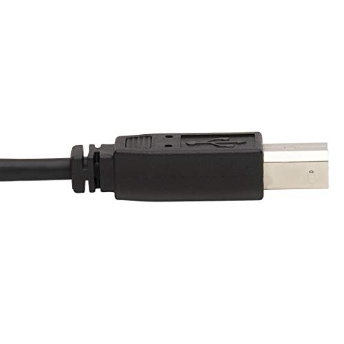 Cable KVM DVI P784-006-U para conectar audio USB y video digital en un switch 5
