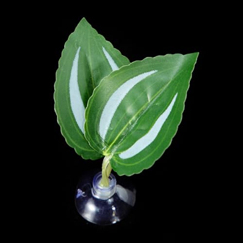 吸引カップ葉のパッドベタス魚ハンモックベッド魚屋の産卵葉の水族館繁殖供給魚タンクの風景