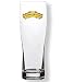 Sierra Nevada 16 Ounce Full Color Logo Pint - Single Glass