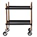 Toyvian 2 Strati Rack di Stoccaggio Rack di Stoccaggio Medico Carrello su Ruote Multi- Funzionale Scaffalature Organizzatore per La Casa Cucina Bagno Spogliatoio (Nero E Il Colore del