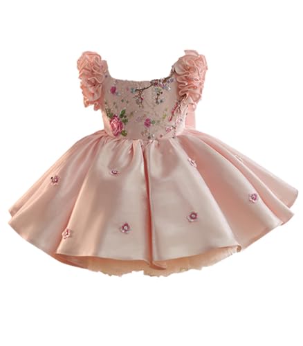 Pageant Dresses for Girls Flying Sleeve Pink Puffy Dress Embroidered Lace Flower Girl Wedding Ball Gown